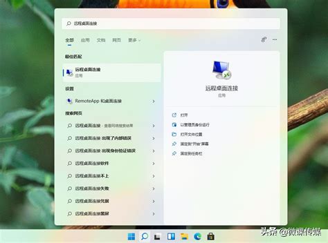 windows11如何远程桌面连接（怎么远程控制另一台电脑）_白马号