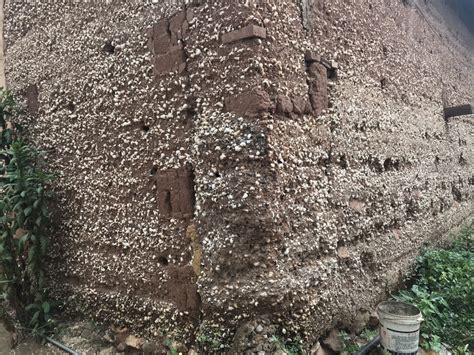 古代“吃货”有多强？云南3000年前古城村遗址 吃剩螺蛳壳堆了足足6米