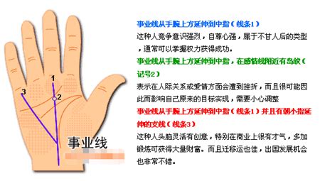 手相分析图图片