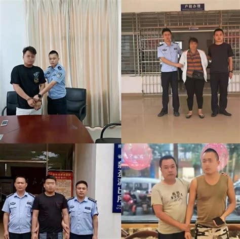 33人被抓！海南警方一条线索揪出两个诈骗团伙|海南|诈骗团伙_新浪新闻