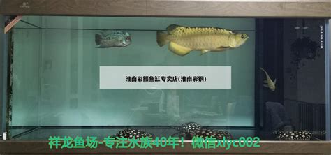 大型鱼缸定制|亚克力鱼缸|鱼缸定做-上海艺海园大型鱼缸定制厂家