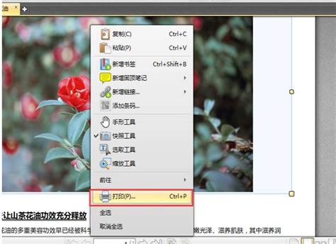 迅捷PDF编辑器快照：轻松截取画面-完美教程资讯
