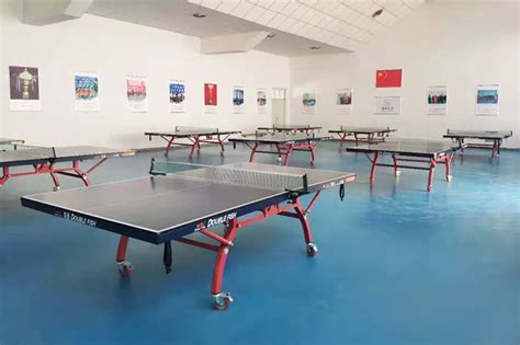 PVC运动地板 乒乓球场地板_杭州赛鸿体育设施工程有限公司