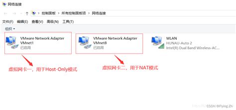 VMware——网络服务DNS设置_如何在vmware里更改dns-CSDN博客