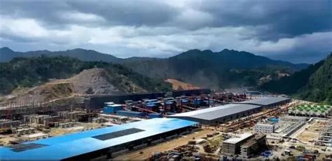 G20工商峰会：华友钴业与淡水河谷印尼签署确定性合作协议__财经头条