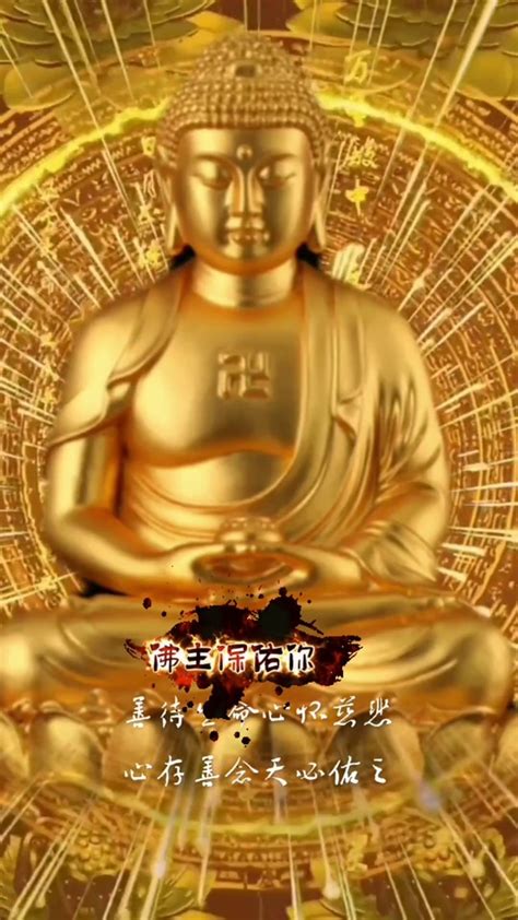 佛家早上好祝福语图片,祝早安图片,早安像带字祝福图片(第4页)_大山谷图库