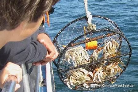 五一出行捉螃蟹--如何在钱塘江边捉毛蟹-百度经验