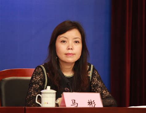 嘉宾：中国中小企业协会副会长 马彬--图片资料