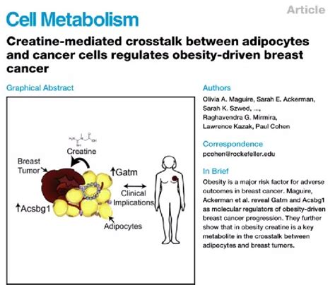 Cell Metabolism:肥胖与乳腺癌之间的重要的介导物质被发现_研究进展_最新资讯_科研星球