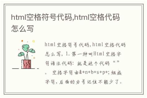 html空格符号代码,html空格代码怎么写-兔宝宝游戏网