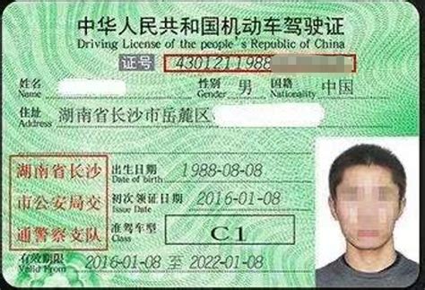 驾驶证p图软件图片