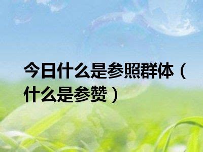 赵文宇参赞出席云南-老挝经贸合作推介会