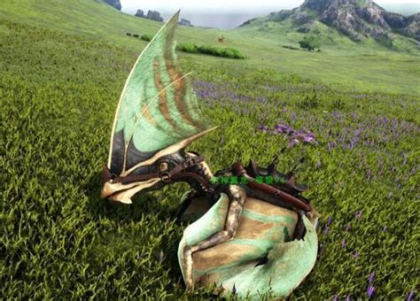 方舟生存进化古神翼龙有什么功能