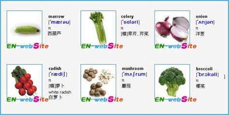 常见各种蔬菜英文名称-图文_word文档在线阅读与下载_免费文档