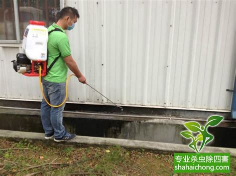 黄胸散白蚁的主要分布在中国哪些地方-广东护建白蚁防治所