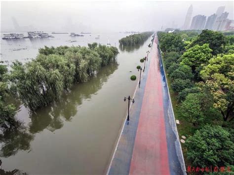 全国433条河流发生超警洪水；预测长江洪峰最早14日凌晨过武汉 - 封面新闻