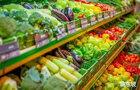2021年蔬菜农产品冷链物流发展概况及模式__财经头条