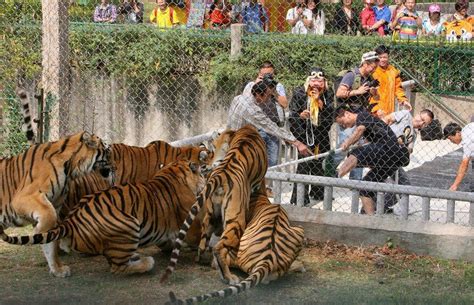 2020武汉动物园-旅游攻略-门票-地址-问答-游记点评，武汉旅游旅游景点推荐-去哪儿攻略