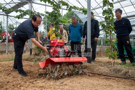 浙江金华：果园机械化助力农业增收-人民图片网