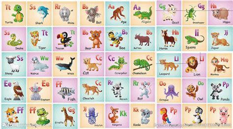 儿童英文识字卡片动物英语设计图__学习用品_生活百科_设计图库_昵图网nipic.com