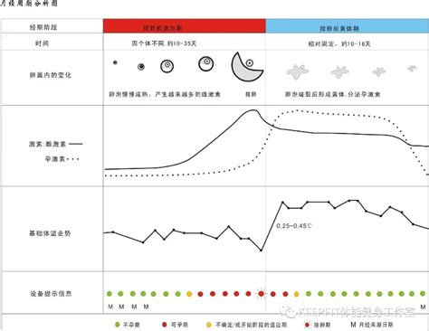 网站优化的概念和技巧（网站优化你必须改变的思维）-8848SEO