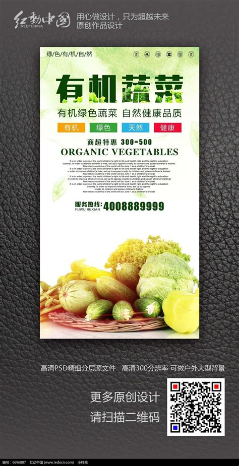 有机蔬菜超市促销活动海报设计图片_海报_编号6696887_红动中国