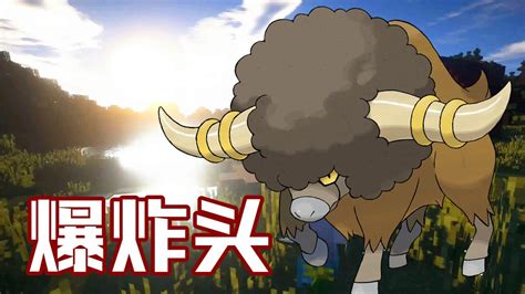 爆炸头水牛(爆爆头水牛)图片