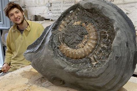 男子海边捡到一块石头 发现竟然是1.9亿年前化石