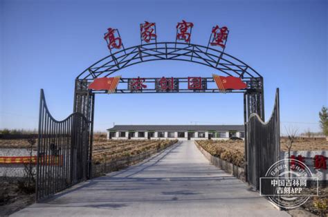 特别观察丨高家窝堡村：从贫困村到“直播村” 它走出一条特别的“成名之路”-中国吉林网