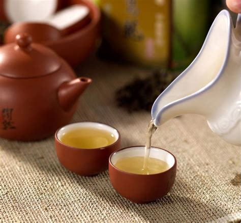 云南普洱茶的慢生活文化|普洱茶百科 - 中吉号官网