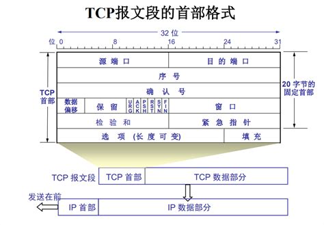 传输层 TCP协议的报文格式_传输层报文格式-CSDN博客