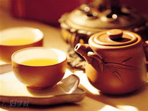 分部资讯丨梅州分部《初级茶艺班》课程回顾-厦门汉艺唐风