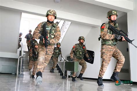 中国武警各部队统一全新式标志、服饰 | 123标志设计网