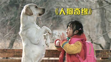 中国催泪电影排行榜前十名(从头哭到尾) | 潇湘读书社