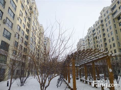 长春市绿园区208小区市政道路及绿化景观工程-吉林省盛美建设工程有限公司
