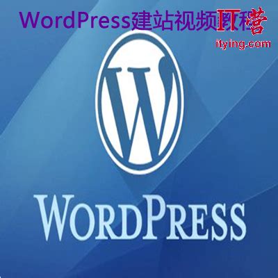 WordPress从入门到精通建站教程_视频教程网