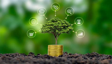 IIGF观点 | 绿色金融支持民营节能环保企业发展-中央财经大学绿色金融国际研究院