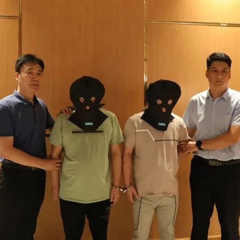 一天内，6名缅甸电诈犯罪嫌疑人被押解回国！|缅甸|缅北|吉林省_新浪新闻