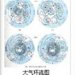 劳雷尔·康兰 的图像结果