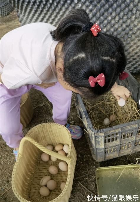 王楠带娃体验农村生活，亲自下地摘花生，俩娃蹲地上捡鸡蛋不嫌脏 - 360娱乐，你开心就好
