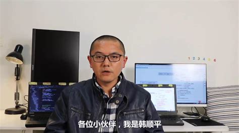 韩顺平（国内著名软件培训高级讲师） - 经历网