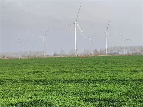 三峡新能源潘集区黑河风电项目首批风机并网发电-龙船风电网