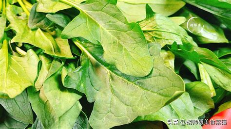 菠菜-挑选-价格-菜谱--广州天天生鲜蔬菜配送公司
