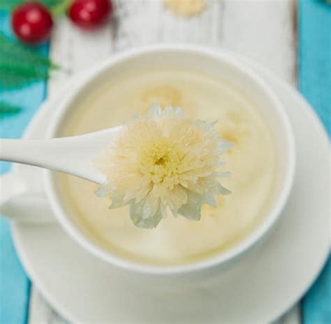 【白菊花茶】白菊花茶的功效与作用及禁忌_白菊花茶的制作方法_绿茶说