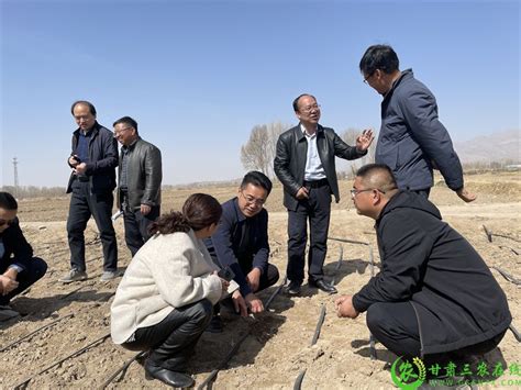 山丹县：大力开展“双减”工作 推动农业高质量绿色发展-甘肃三农在线