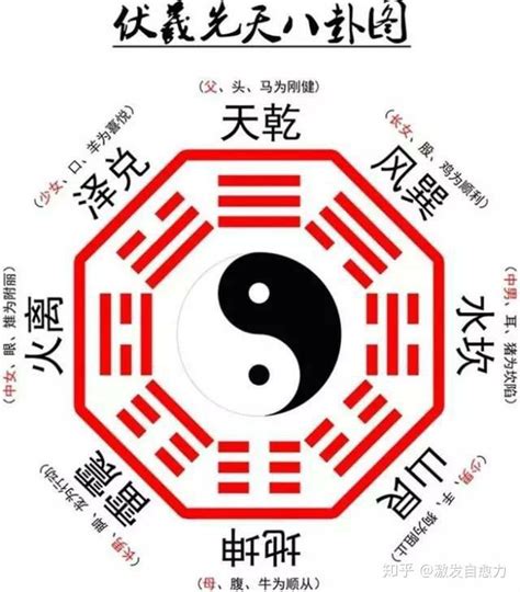 八卦阴阳图图片