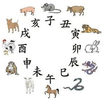 十二生肖动物图片 _学习知识网