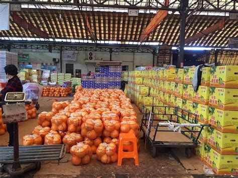 探·城│沈阳八家子——实拍东北最大的果品批发市场。
