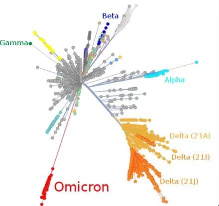 新冠病毒Omicron变异株：起源、传播与临床致病性-MedSci.cn