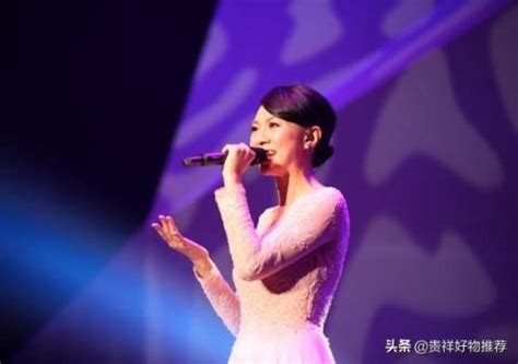网友做的华语乐坛现役女歌手段位图……